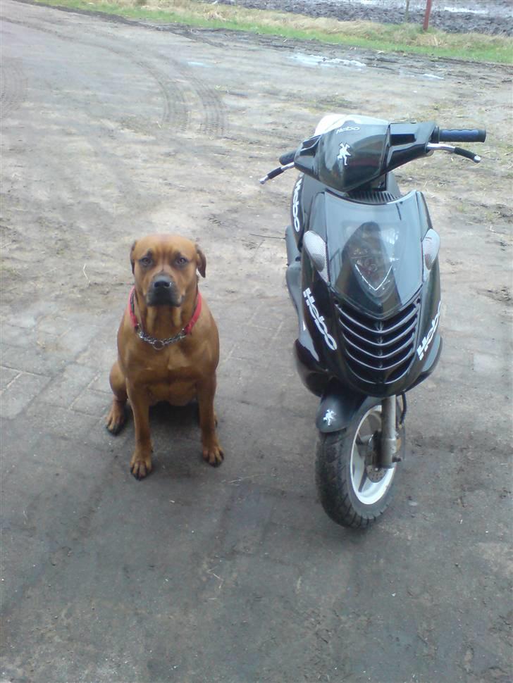 Aprilia Sonic Byttet billede 14