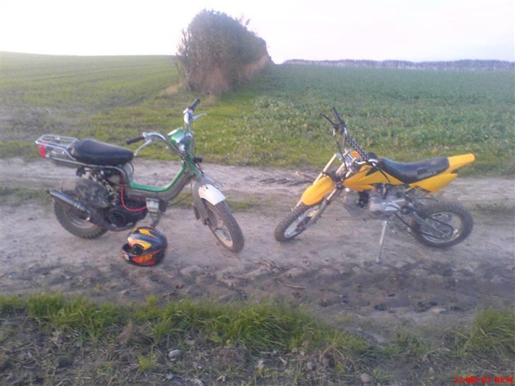 MiniBike crosser 110 billede 10
