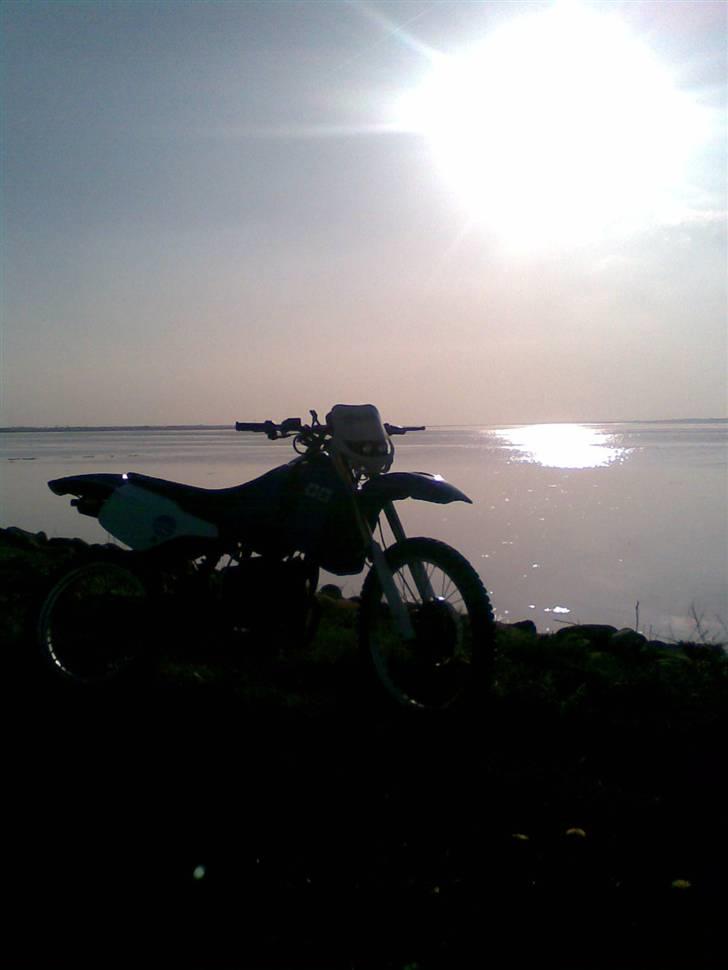 Suzuki RMX LC DD (Josefine) billede 7