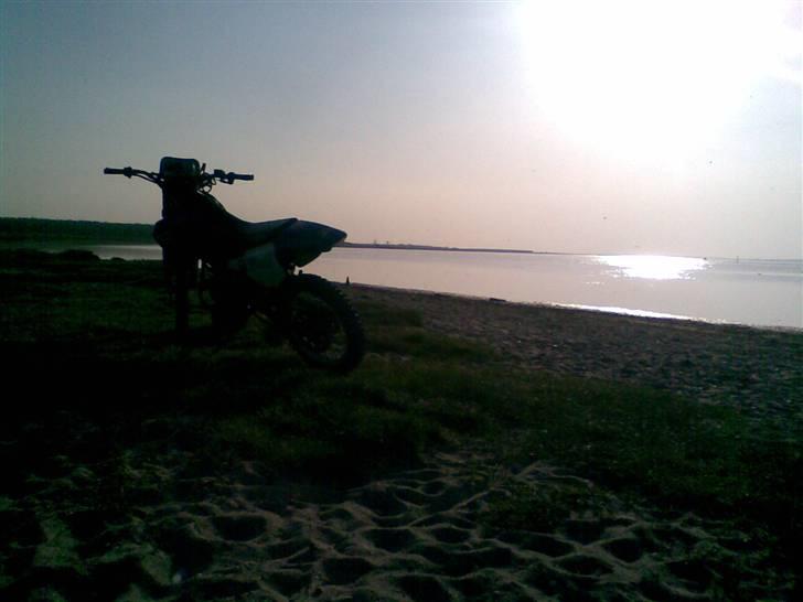 Suzuki RMX LC DD (Josefine) billede 8