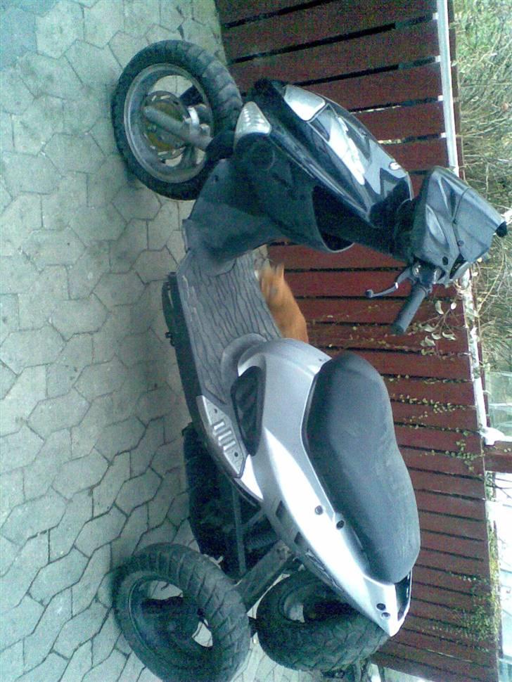 PGO t-rex TIL SALG årgang billede 2