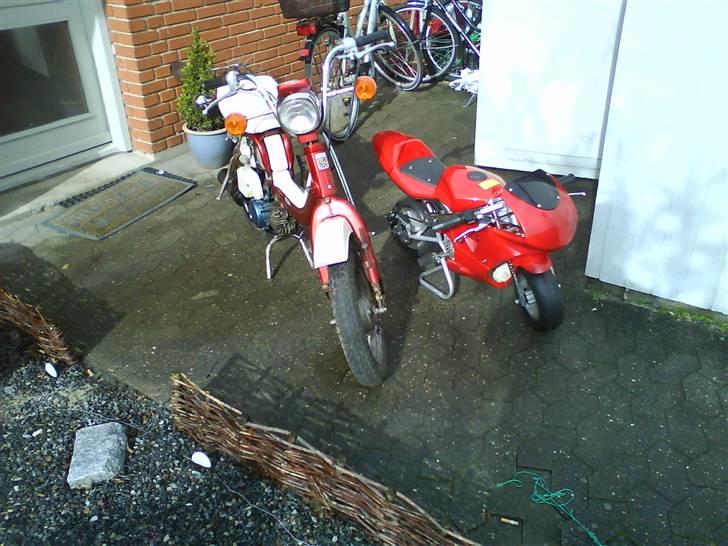 Suzuki Fz50 solgt billede 2