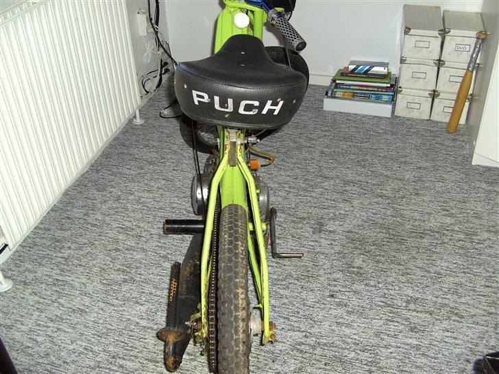 Puch maxi (solgt) billede 7