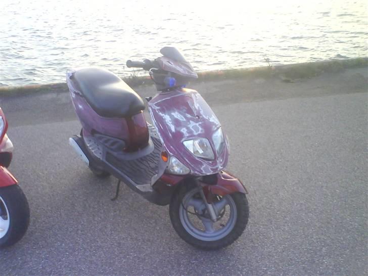 PGO big # Solgt! billede 12