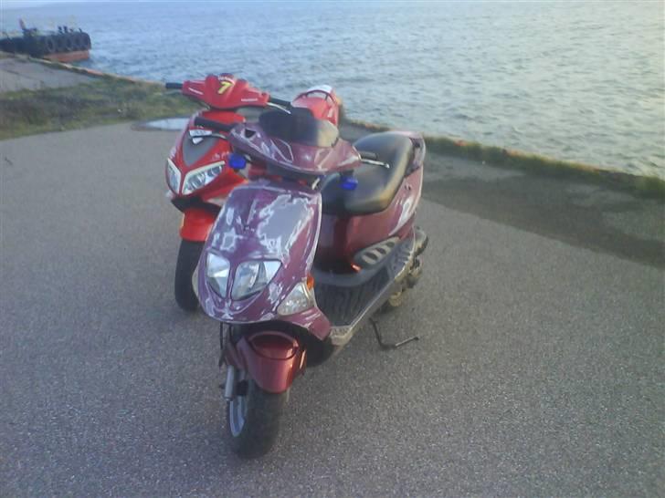 PGO big # Solgt! billede 13