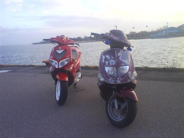 PGO big # Solgt! billede 14