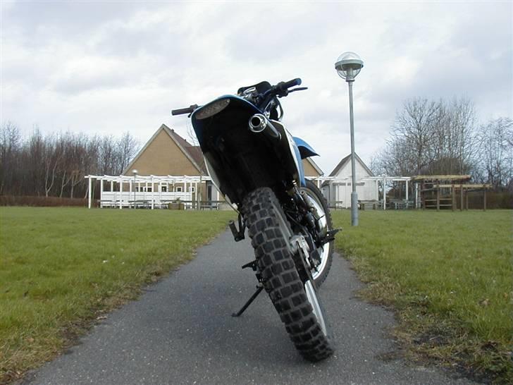 Suzuki RMX LC DD (Josefine) - d. 23/2 billede 14