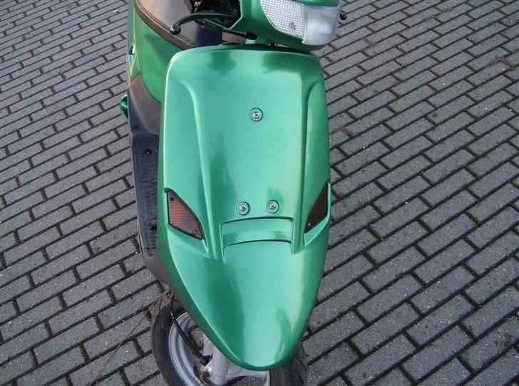 PGO Comet "Frøen" - 06-01-2008 billede 8