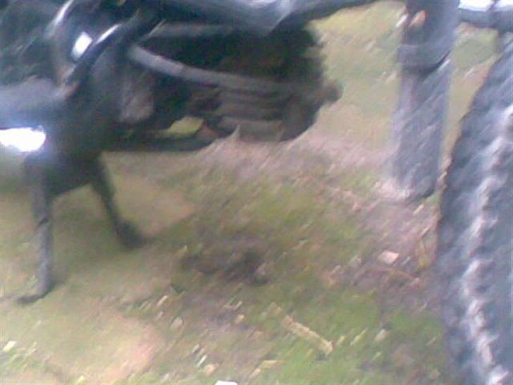 Yamaha sting solgt billede 6