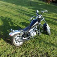 MiniBike chopper