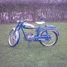 Veteraner icm