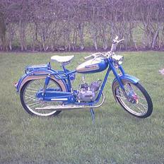 Veteraner icm