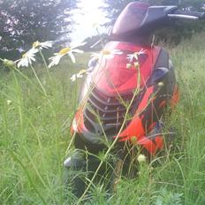 Aprilia sonic GP Replica <S6 Pro>