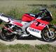 Yamaha TZR LC ÐÐ Red-Top