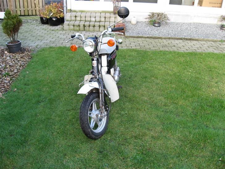Suzuki Fz billede 3