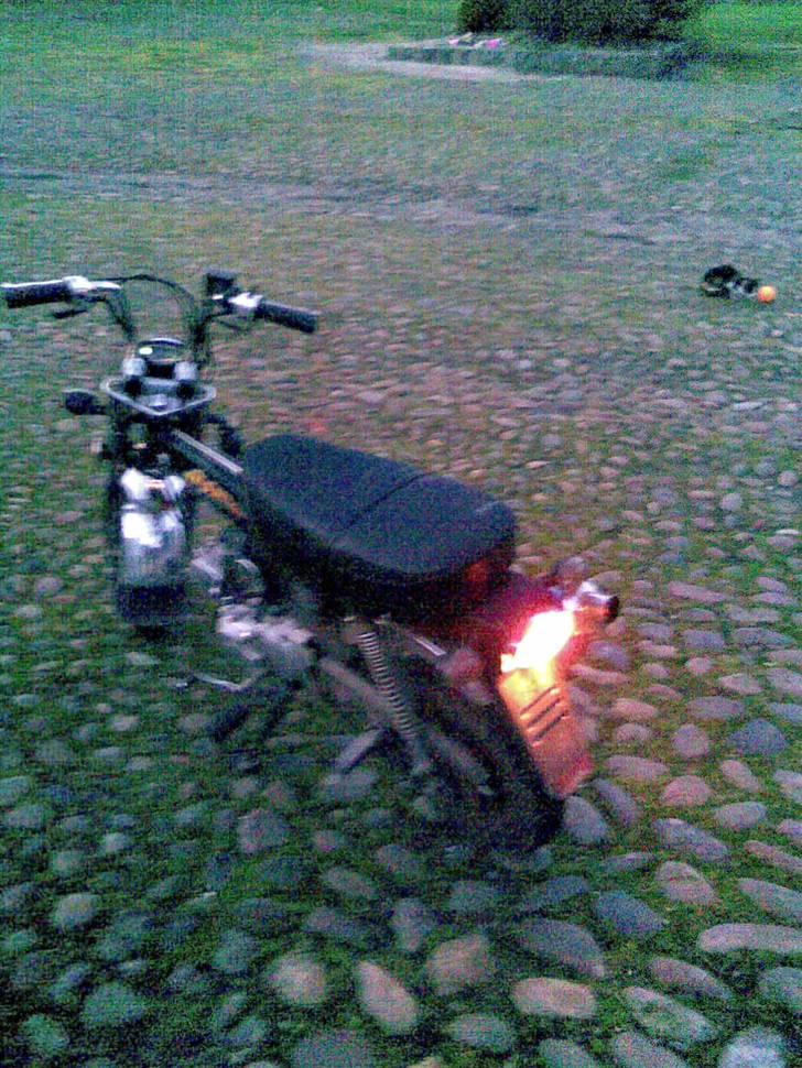 Skyteam Dax "SOLGT" billede 8