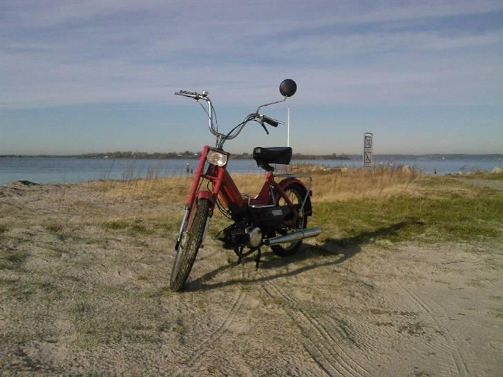 Puch Maxi K billede 9