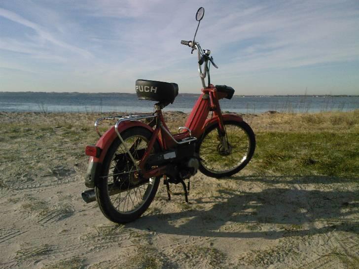 Puch Maxi K billede 12
