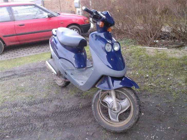 Adly Cat [SOLGT 3750 kr] billede 1