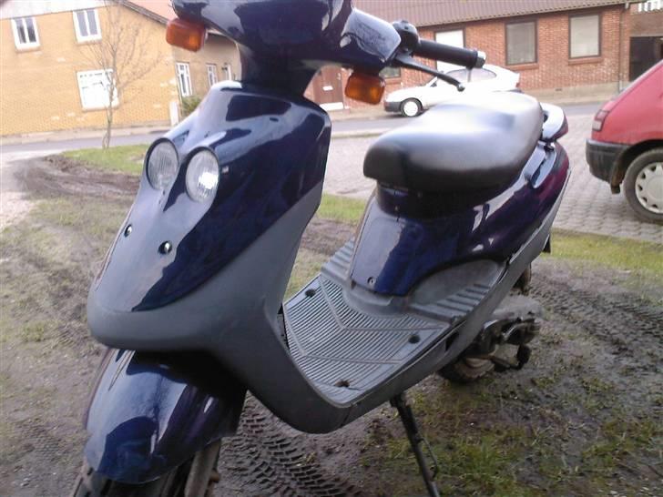 Adly Cat [SOLGT 3750 kr] billede 2