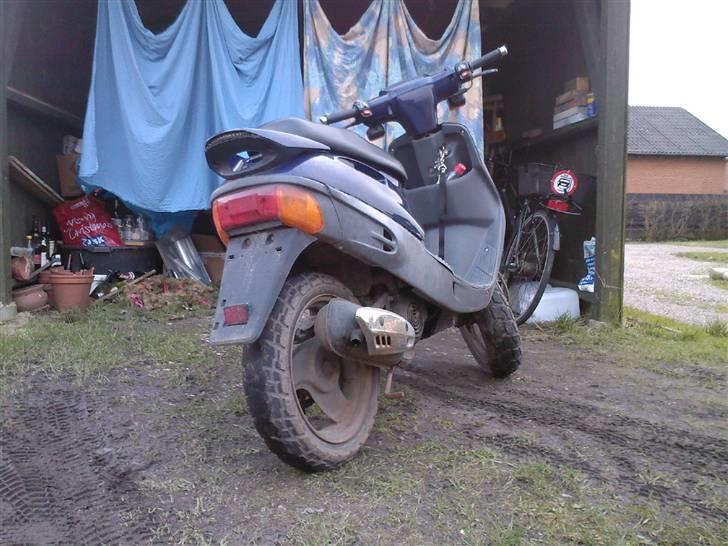 Adly Cat [SOLGT 3750 kr] billede 3