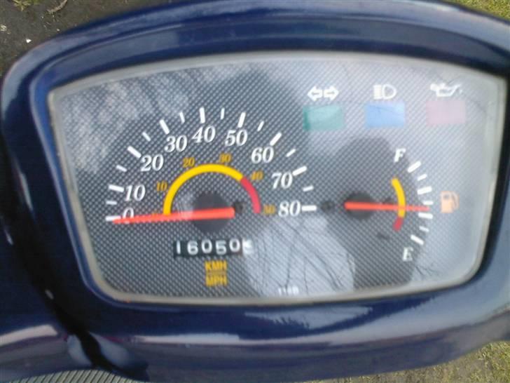 Adly Cat [SOLGT 3750 kr] billede 4