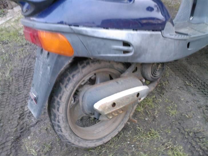 Adly Cat [SOLGT 3750 kr] billede 5