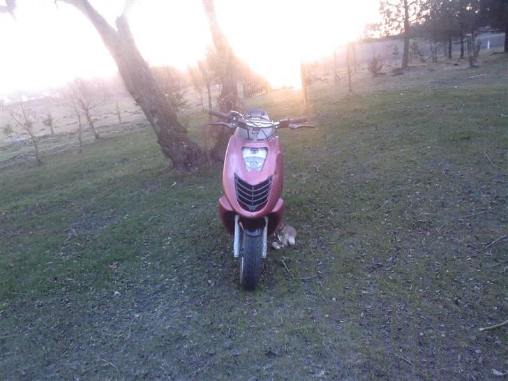 Aprilia Sonic - Byttet til Jog R billede 1