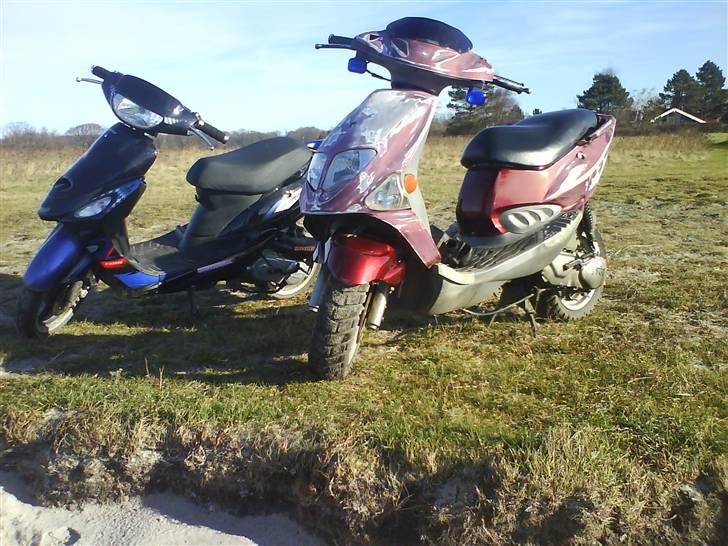 PGO big # Solgt! billede 16