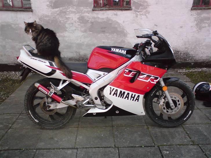 Yamaha TZR LC ÐÐ Red-Top - Yamaha TZR og Le miav (katten) billede 3
