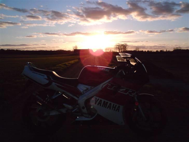 Yamaha TZR LC ÐÐ Red-Top - Yamaha TZR billede 5