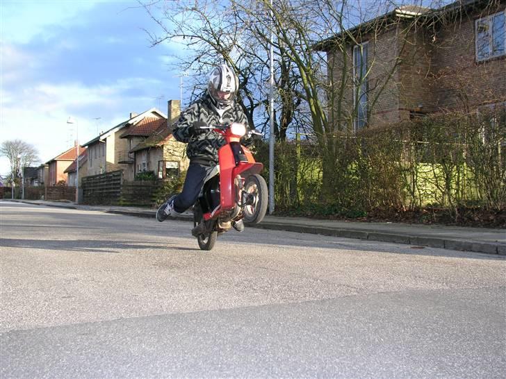 Honda Melody * Byttet * billede 3