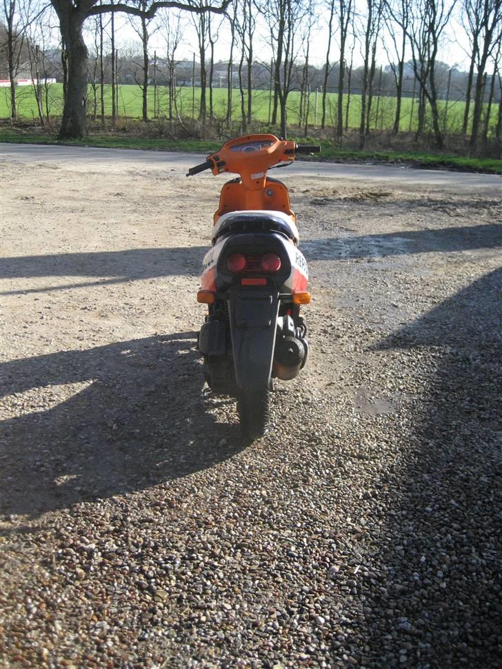 Honda SFX Repsol billede 5