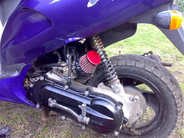 Honda sfx (SOLGT) - luftfilter billede 4