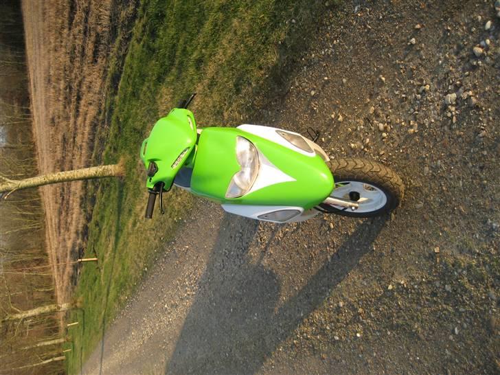 Honda  SFX solgt - ligenu billede 9