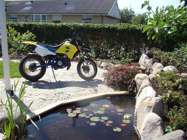 Suzuki SMX LC DD Byttede billede 6