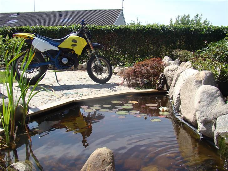 Suzuki SMX LC DD Byttede billede 7