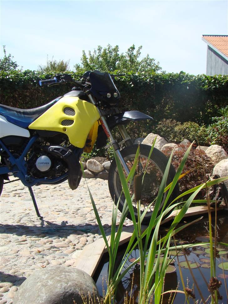 Suzuki SMX LC DD Byttede billede 9