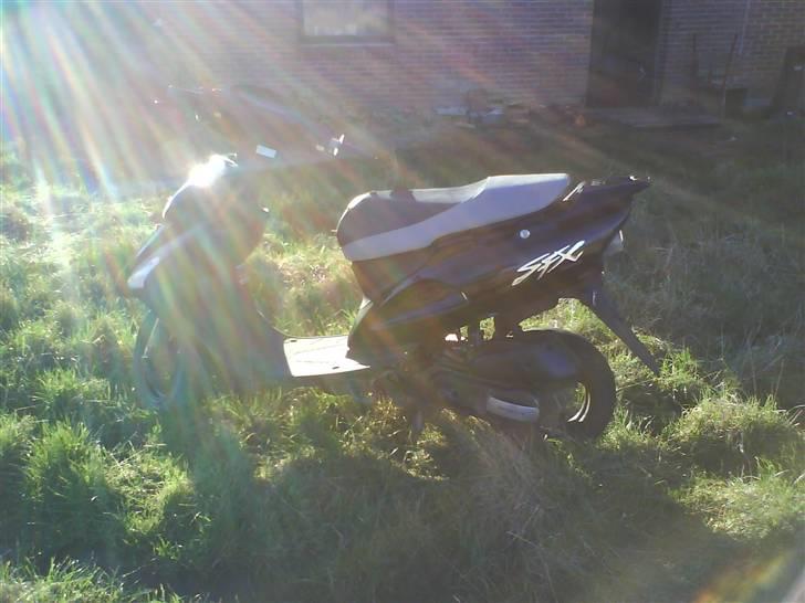 Honda Sfx [solgt] billede 15