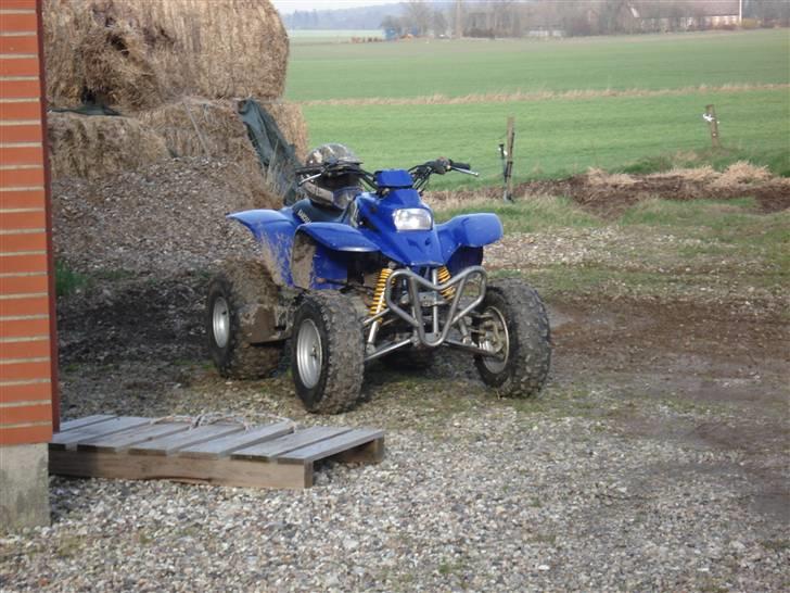 Barossa MAGNA  billede 12