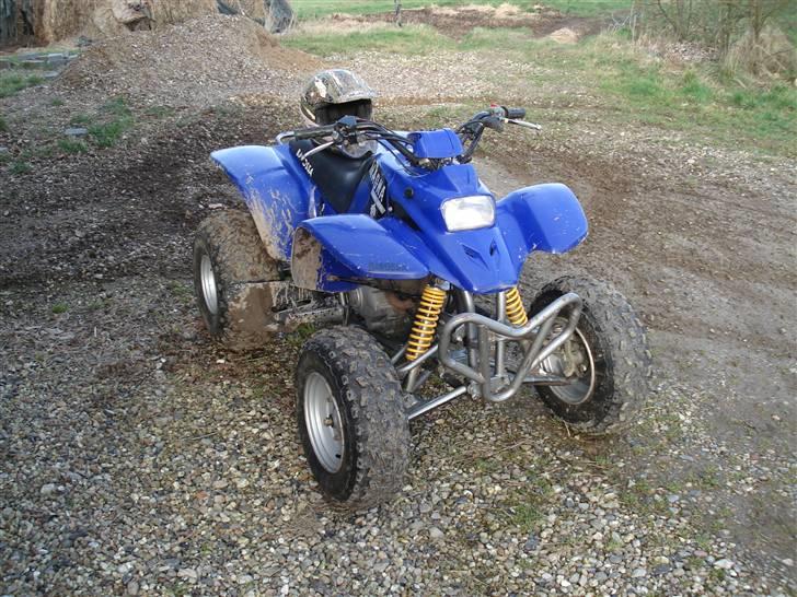 Barossa MAGNA  billede 13