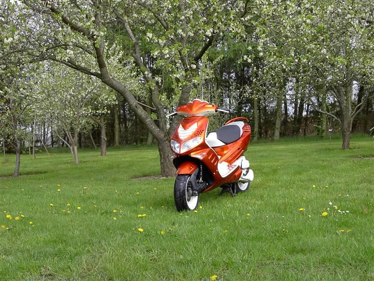 Peugeot Speedfight 2 SOLGT billede 4