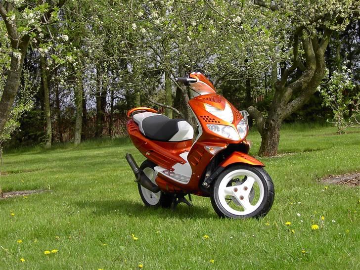 Peugeot Speedfight 2 SOLGT billede 5