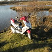 Peugeot Speedfight 2 R-Cup(Maria)