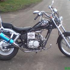 Regal Raptor Projekt