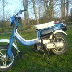 Suzuki FZ50 - Freddy **FØR**