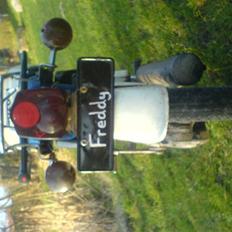 Suzuki FZ50 - Freddy **FØR**