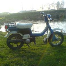 Suzuki FZ50 - Freddy **FØR**