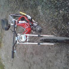 Puch maxi k