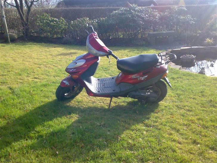 Adly Silverfox, Solgt billede 1